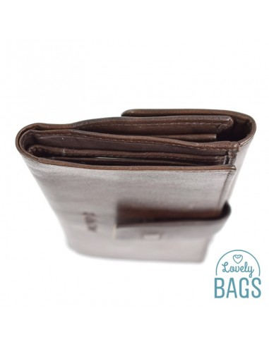 Cartera Grande de Piel Mujer, Polo Sur - LICEO