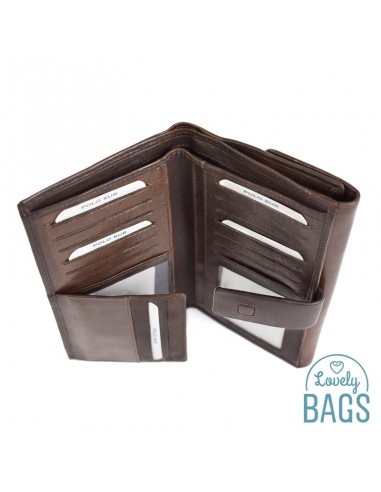 Carteira Grande Polo Sur - Liceu pele kip