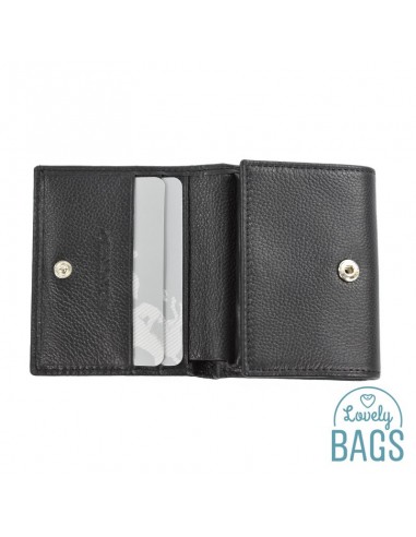 Cartera de piel con monedero acordeón, Francinel - VENISE