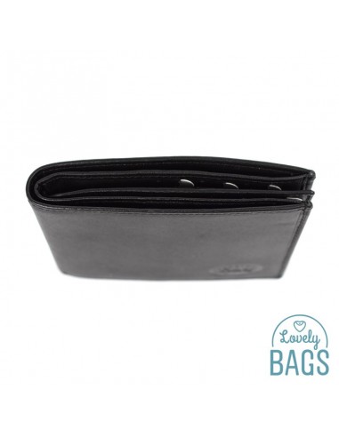 Cartera Americana tarjetera piel Francinel - VENISE