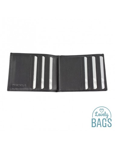 Cartera Americana tarjetera piel Francinel - VENISE