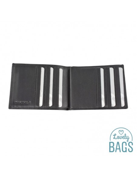 Cartera Americana tarjetera piel Francinel - VENISE