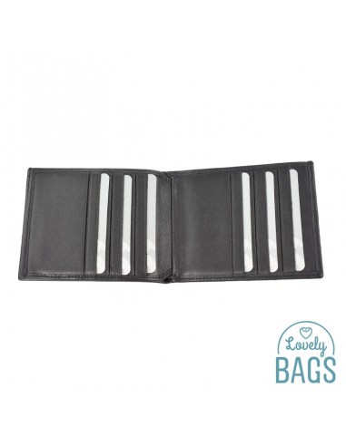 Cartera Americana tarjetera piel Francinel - VENISE