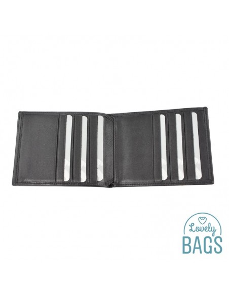 Cartera Americana tarjetera piel Francinel - VENISE