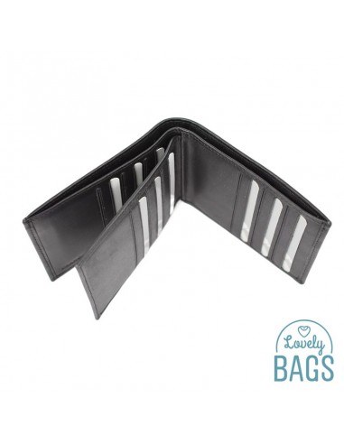 Cartera Americana tarjetera piel Francinel - VENISE