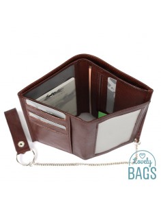 Cartera de Francinel  VENISE - Con cadena 2