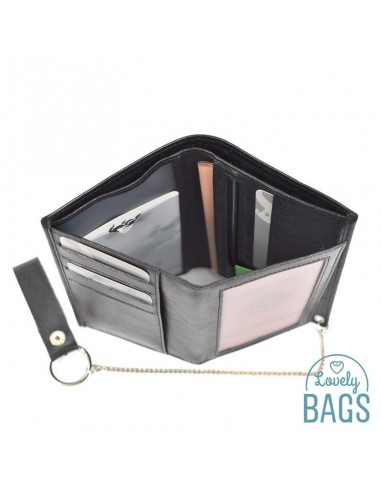 Cartera de Francinel  VENISE - Con cadena