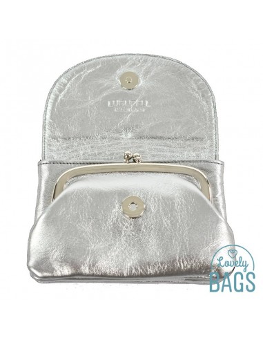 Porta moedas prateado em pele Lugupell