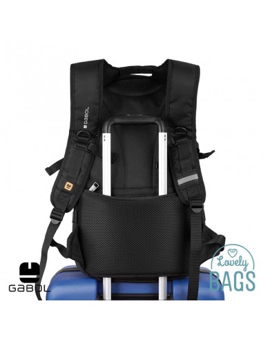 Motxilla gran ordinador 15.6 amb doble compartiment Gabol - Biker